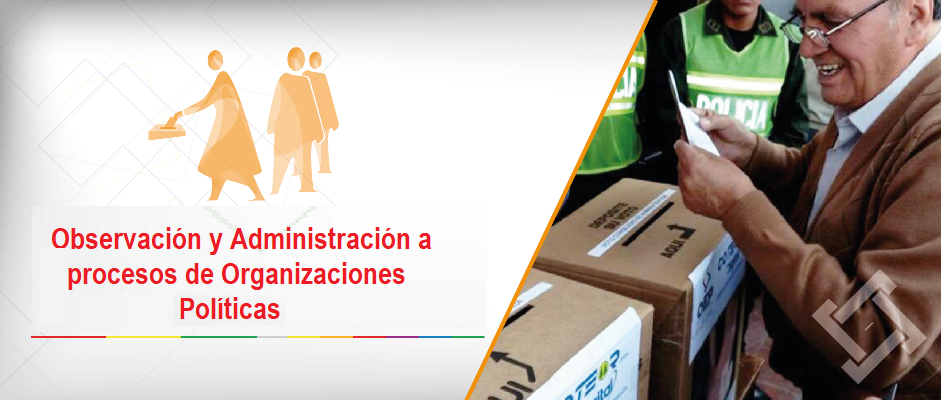 orgpoliticas